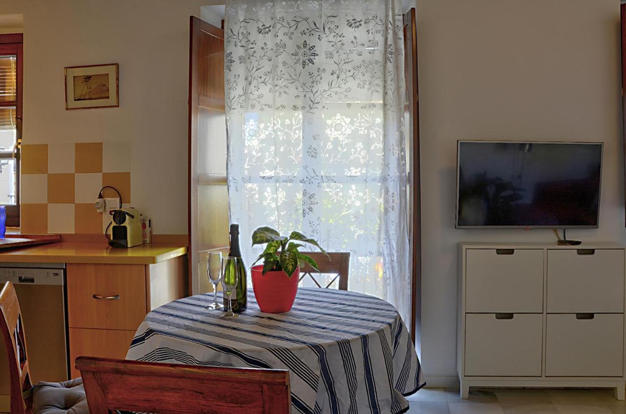 Moderm Center Aparment Appartement