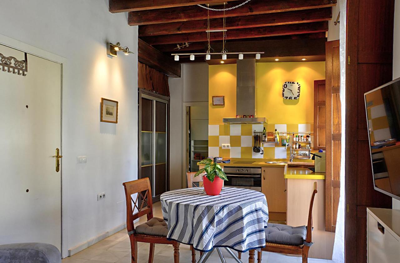 Moderm Center Aparment Appartement